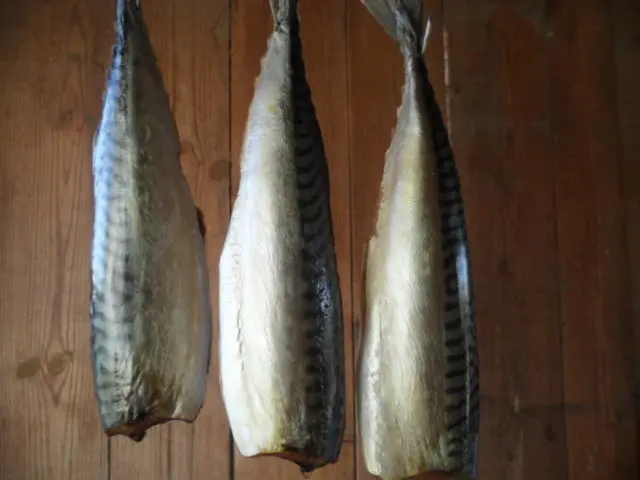 Cold smoked mackerel recipes at home