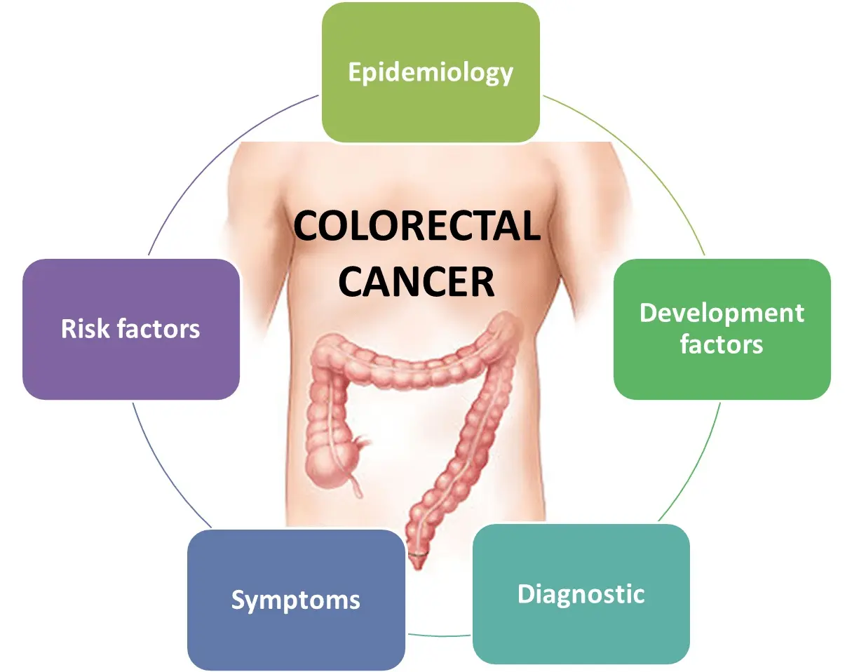 Colon cancer. Everyday habits with which you &#8220;work&#8221; on the disease