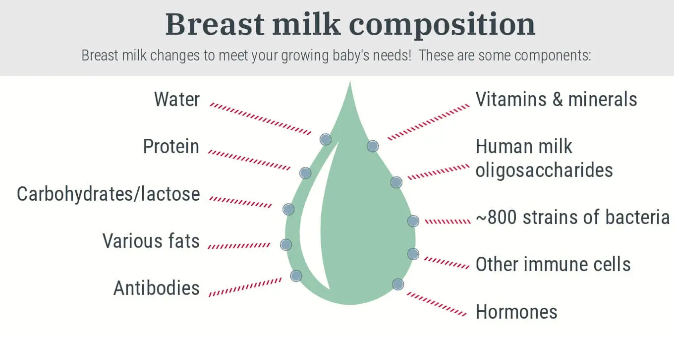 Colostrum, or mother&#8217;s first milk. Composition, nutritional values ​​and properties