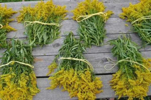 Common goldenrod: medicinal properties, photo, application