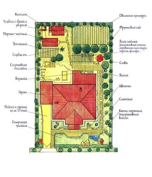 Compatibility of fruit trees and shrubs