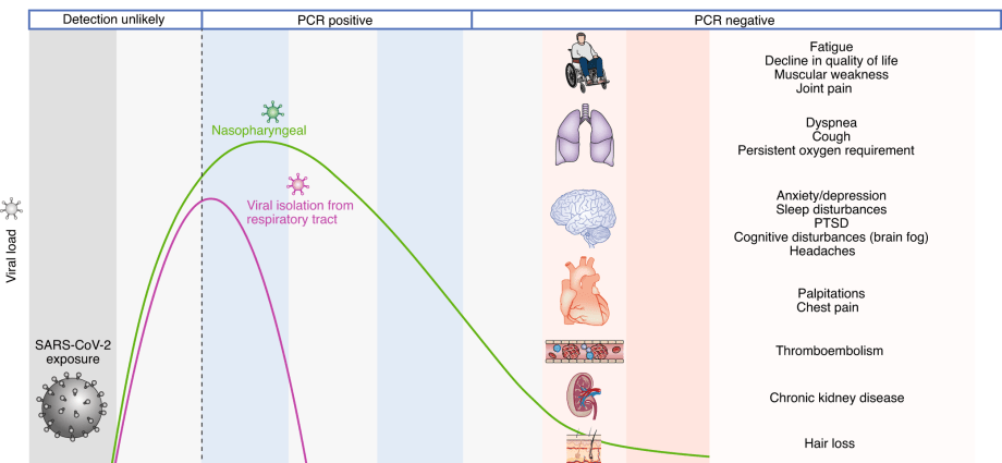 Complications after COVID-19. What are the symptoms and what tests should be done after the disease?