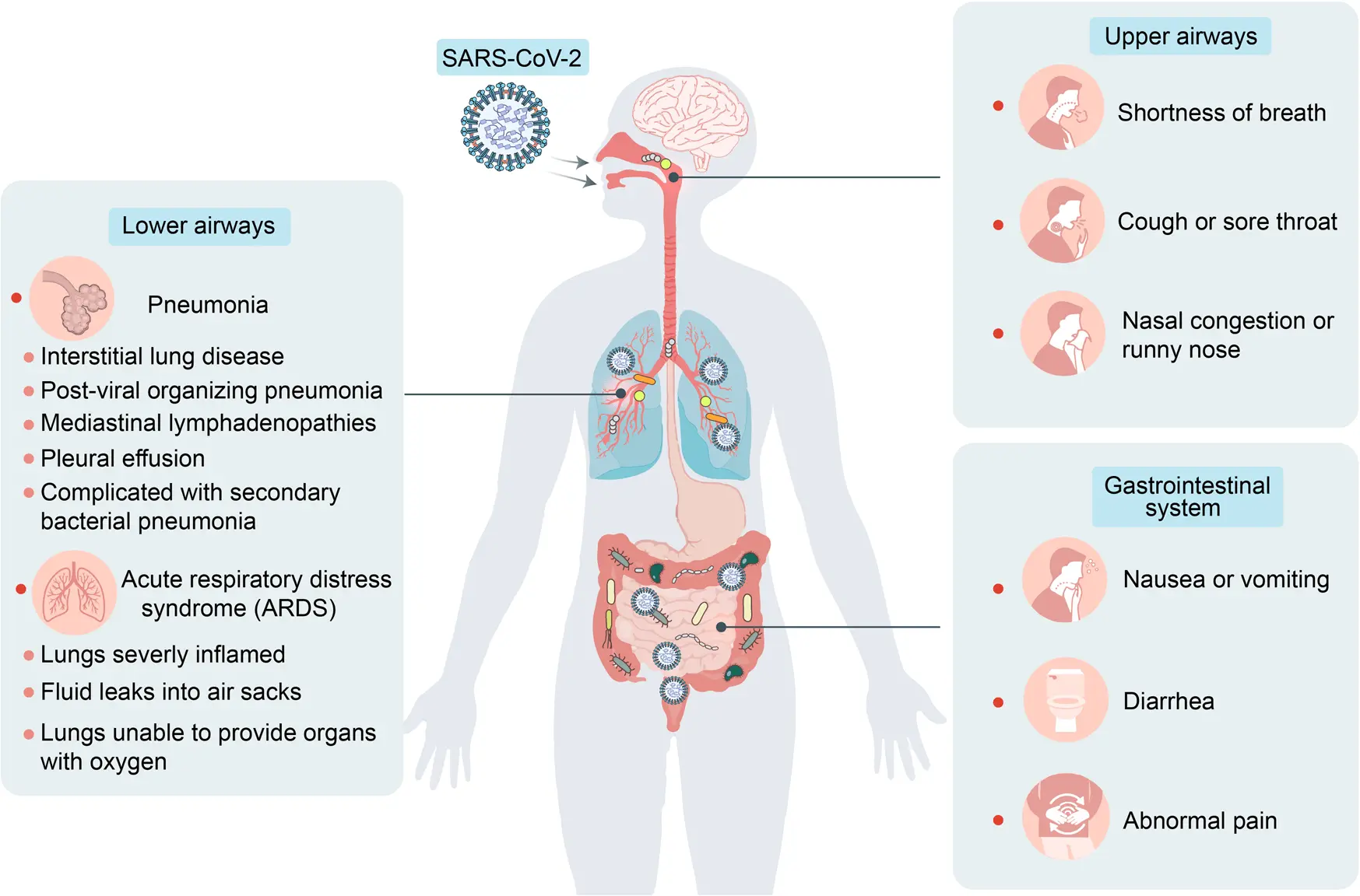 Complications of COVID-19. The organism can attack itself. Even necrosis as a result