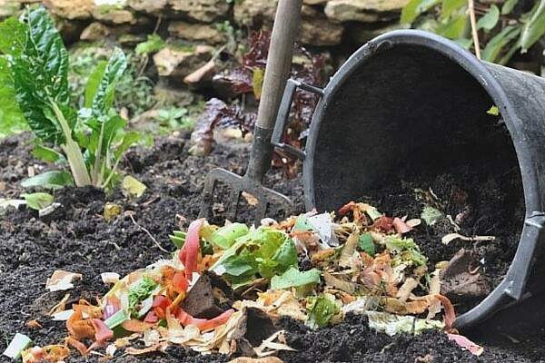 Compost heap: how to make it yourself for a summer residence