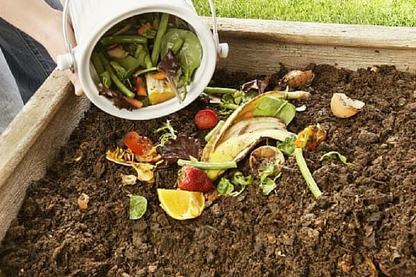 Compost heap: how to make it yourself for a summer residence