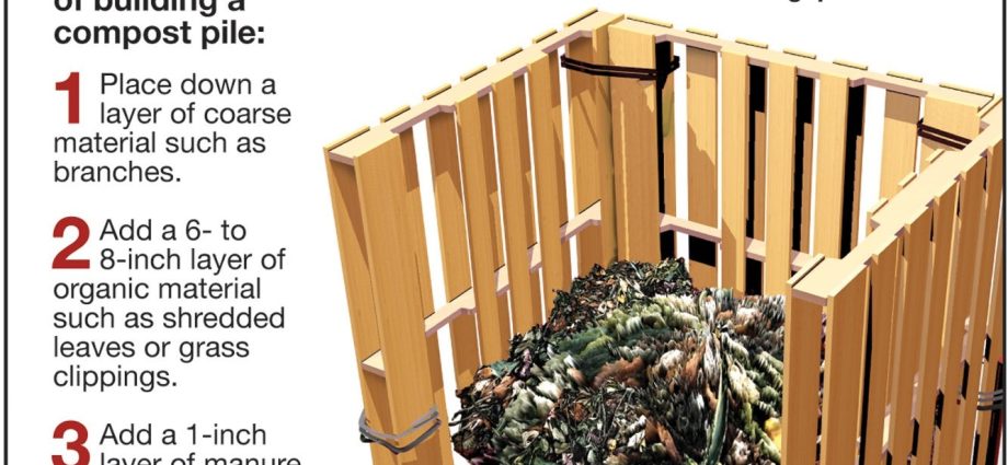 Compost heap: how to make it yourself for a summer residence