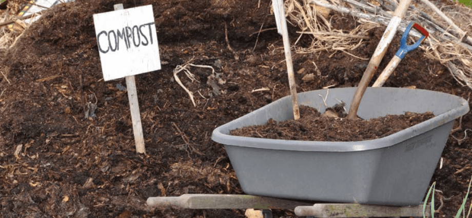 Compost in the garden: description, practical application and result