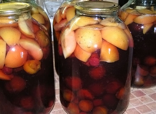 Compote for the winter from plums