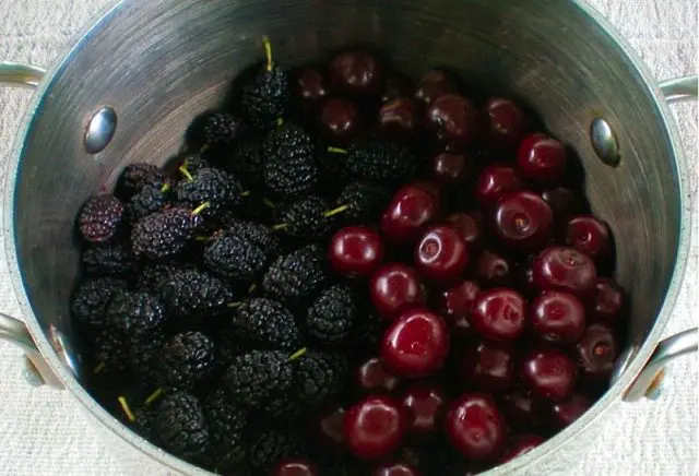 Compote from mulberry (mulberry)