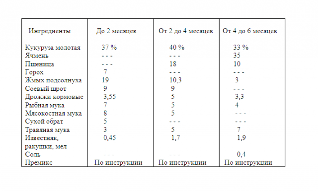 Compound feed for turkeys: composition, features