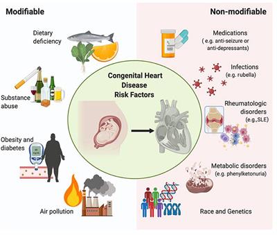 Congenital heart defects &#8211; prevalence, symptoms