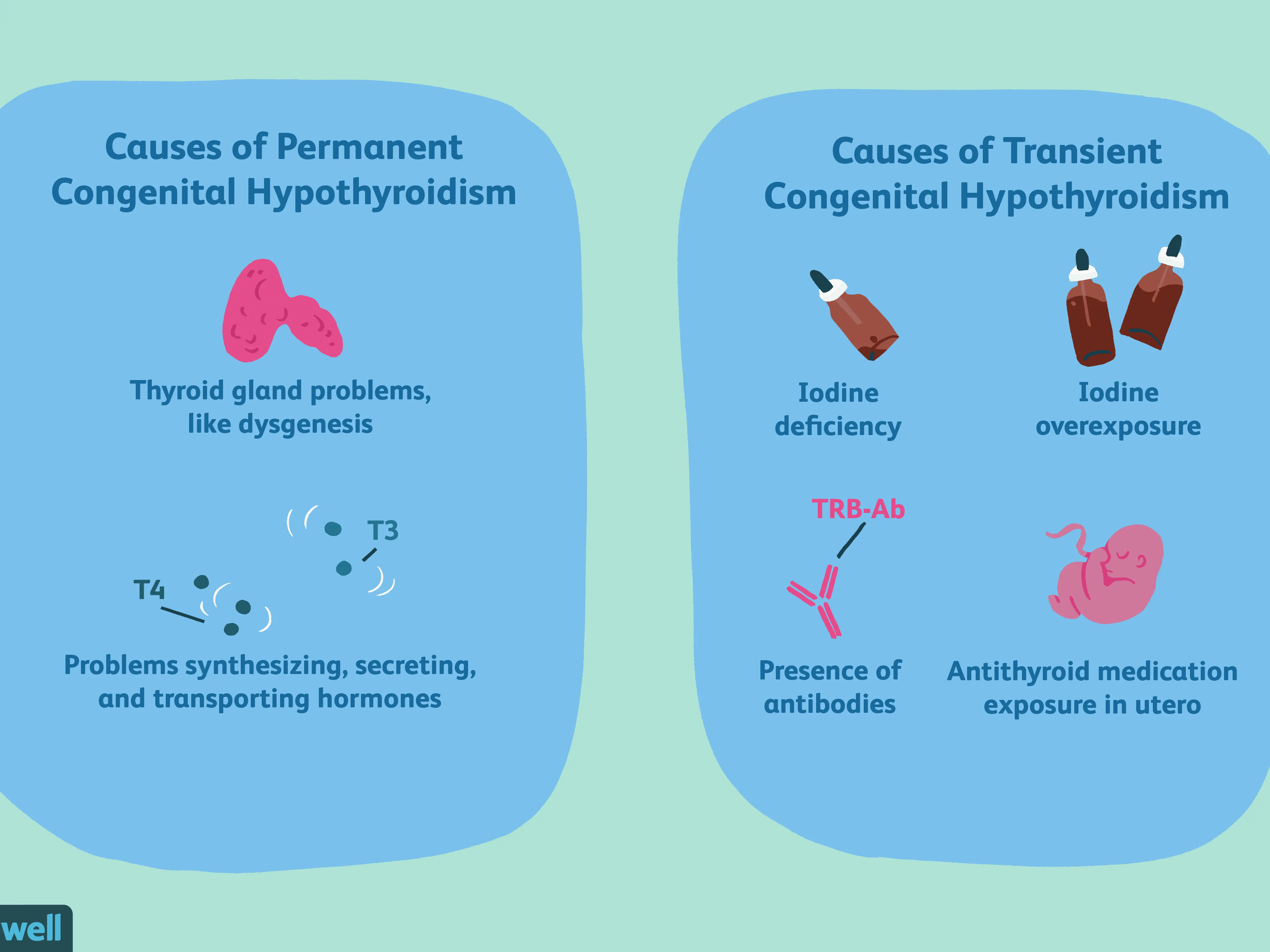 Congenital insufficiency of the thyroid gland