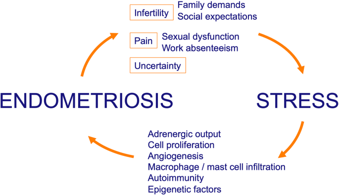 Consequences of endometriosis