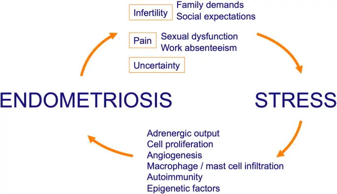 Consequences of endometriosis