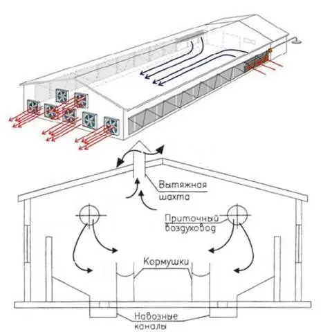 Construction of a pigsty