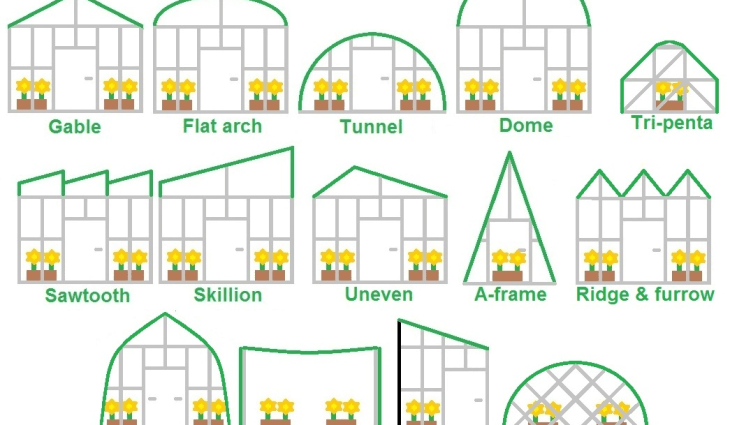 Construction of industrial greenhouses: types and forms