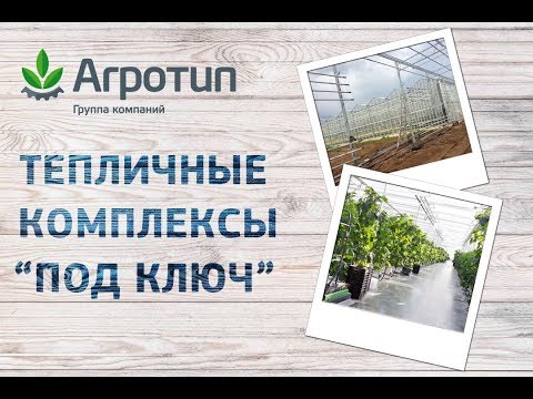 Construction of industrial greenhouses: types and forms