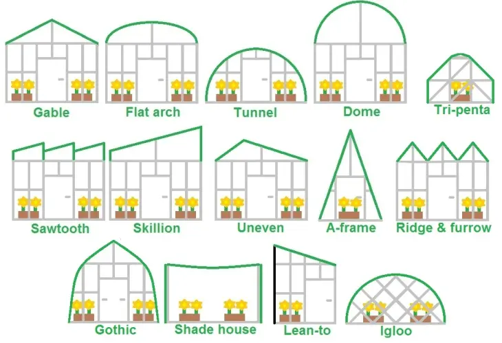 Construction of industrial greenhouses: types and forms