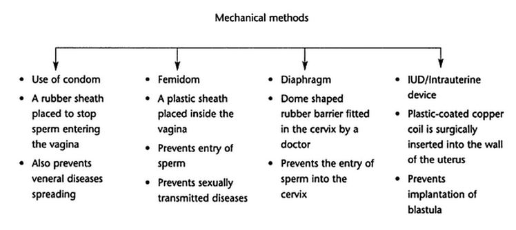 Contraception &#8211; natural, hormonal, chemical and mechanical methods [EXPLAINED]