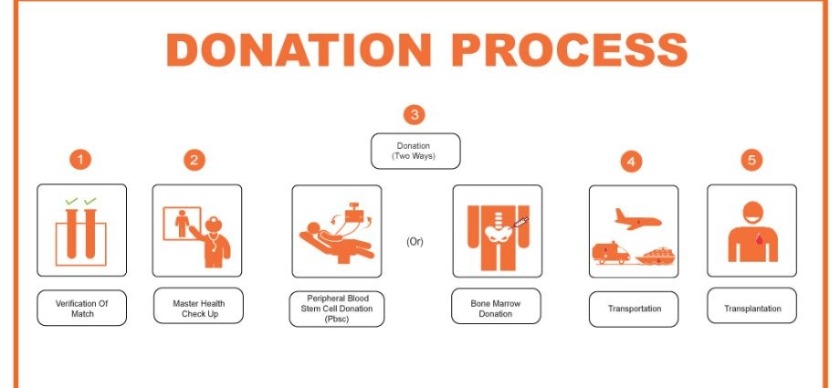 Contraindications for bone marrow donation. Who cannot donate?