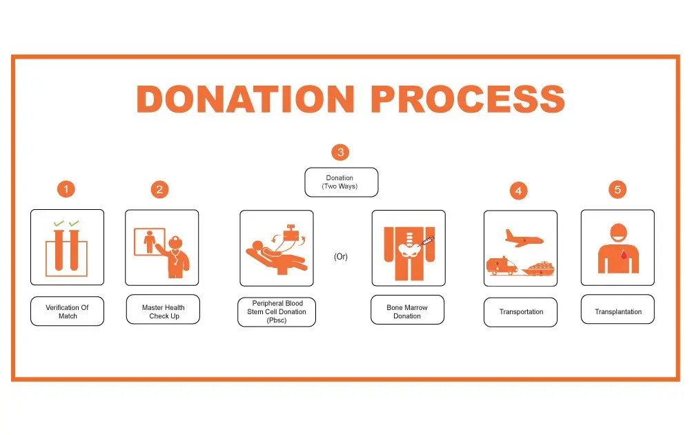 Contraindications for bone marrow donation. Who cannot donate?