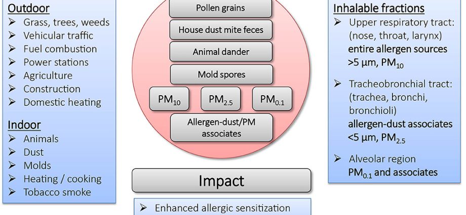 Controlled sensitization, i.e. what tests should be performed for allergy?