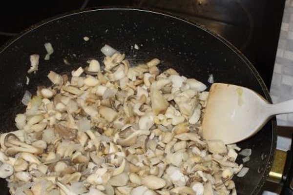 Cooking dishes from oyster mushrooms: recipes with photos