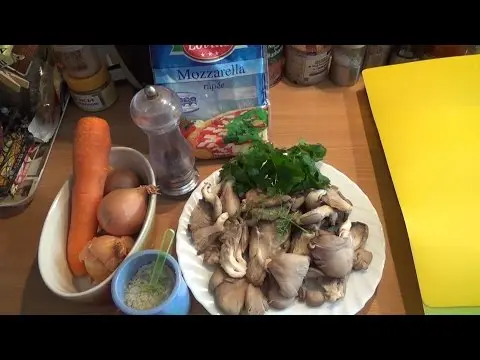 Cooking dishes from oyster mushrooms: recipes with photos