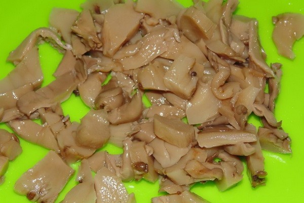 Cooking dishes from oyster mushrooms: recipes with photos