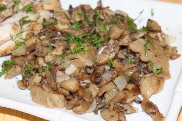 Cooking dishes from oyster mushrooms: recipes with photos