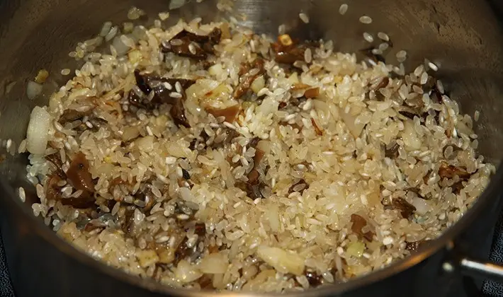 Cooking rice with porcini mushrooms: recipes with photos