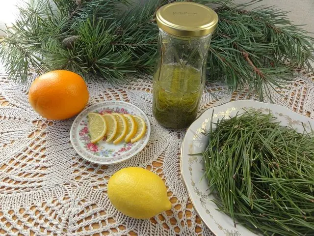 Copper-based coniferous kvass: reviews, recipe