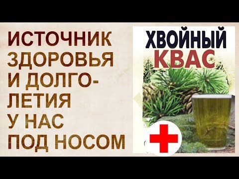 Copper-based coniferous kvass: reviews, recipe