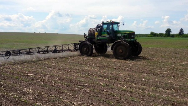 Corn herbicide: how to choose and how to apply