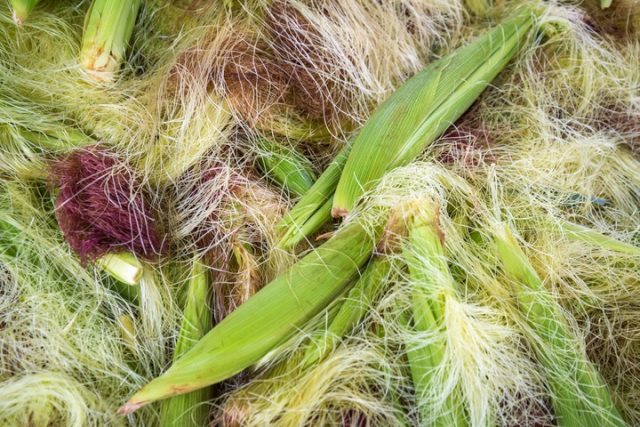 Corn silk: useful properties and contraindications, instructions for use