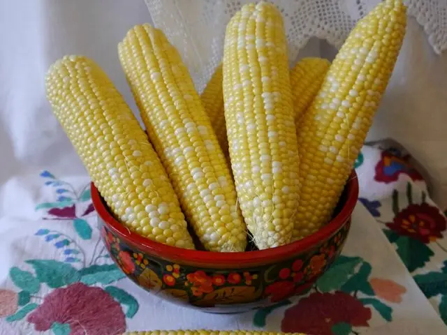 corn varieties