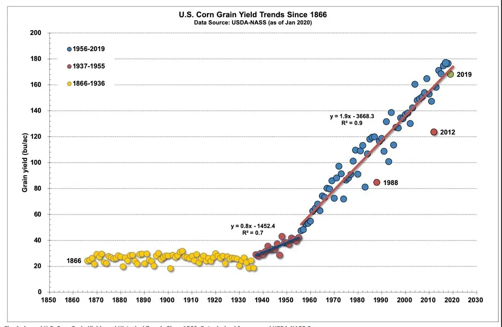 Corn yield per 1 ha: an overview of different varieties