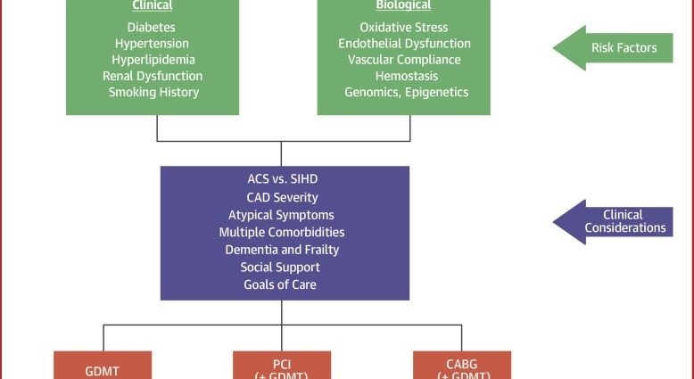 Coronary artery disease in seniors. Characteristic symptoms and treatment method [EXPLAINED]