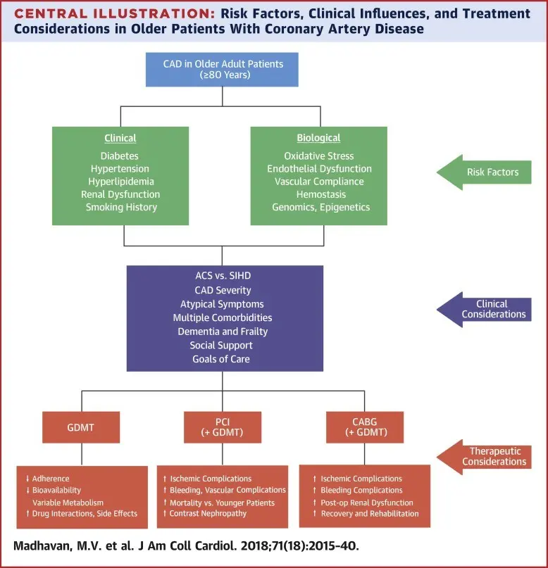 Coronary artery disease in seniors. Characteristic symptoms and treatment method [EXPLAINED]