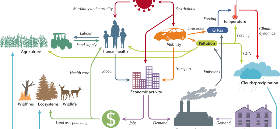 Coronavirus and food. How to prevent pollution? Q&#038;A [EXPLAINED]