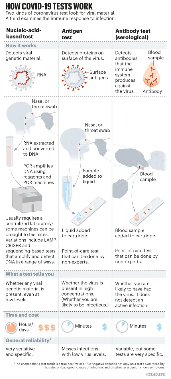 Coronavirus Antigen Tests &#8211; Everything You Need to Know Before You Decide to Do Home Self-Examination