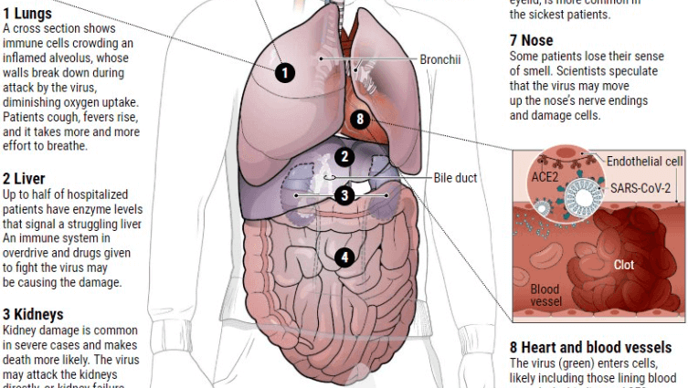 Coronavirus can also enter the body through the mouth. Is that why we&#8217;re losing flavor?