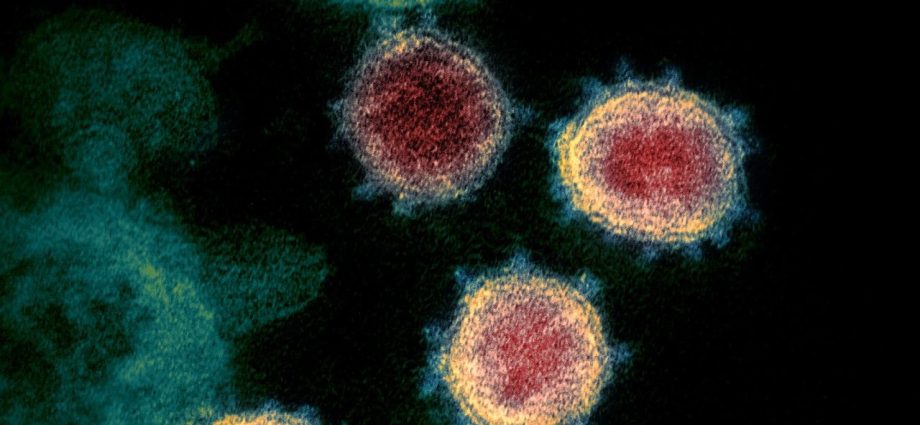 Coronavirus &#8220;hides in an unexpected place&#8221;? A study that split the experts