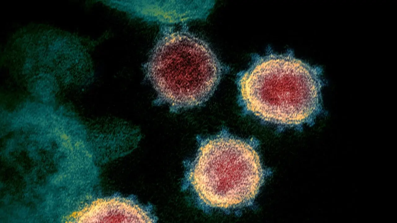 Coronavirus &#8220;hides in an unexpected place&#8221;? A study that split the experts