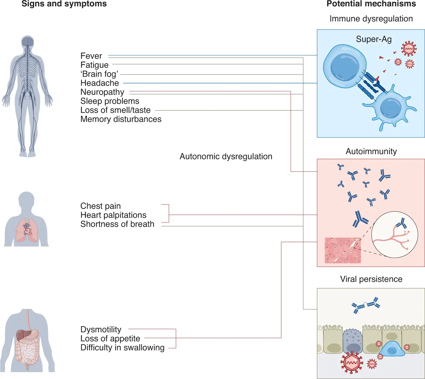 Coronavirus in Poland. What are the symptoms of infection?