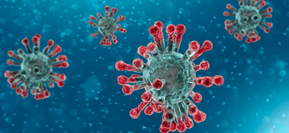 Coronaviruses can live outside the body for up to nine days