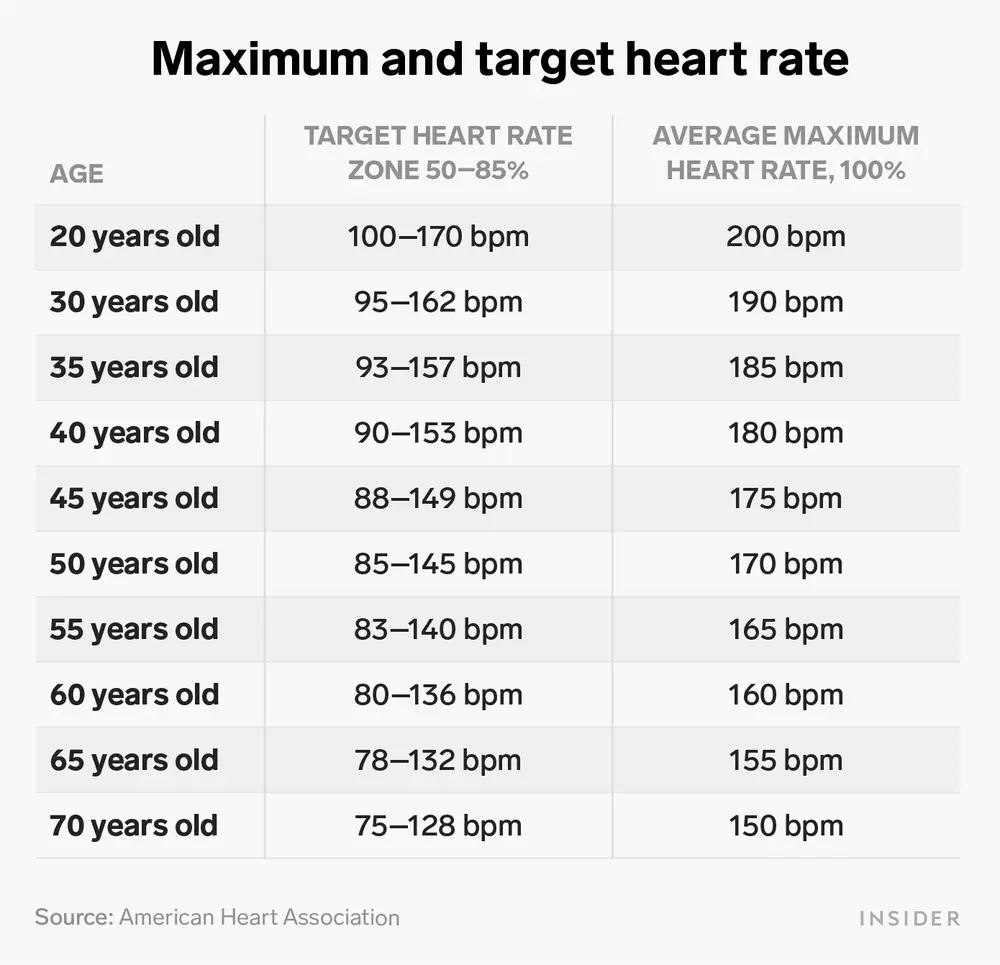 Correct heart rate &#8211; norms, how to measure? Fast and slow heart rate