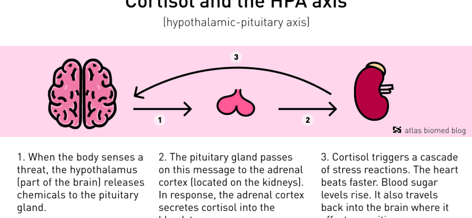 Cortisol, or the stress hormone. What does incorrect level mean?