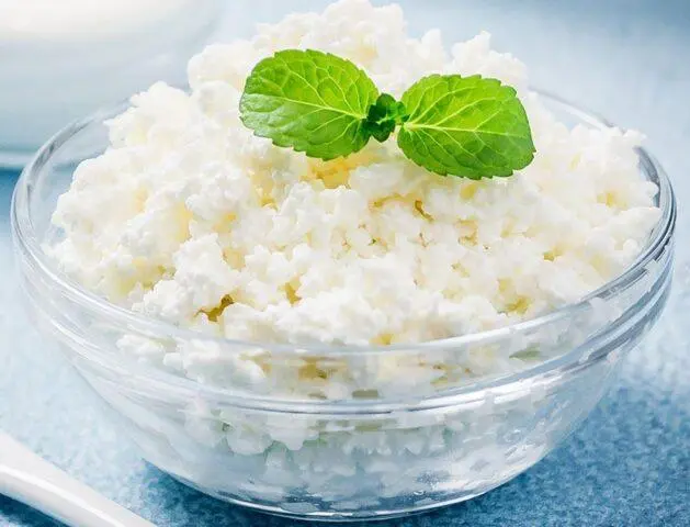 Cottage cheese: useful properties of the product, recommendations for selection and storage