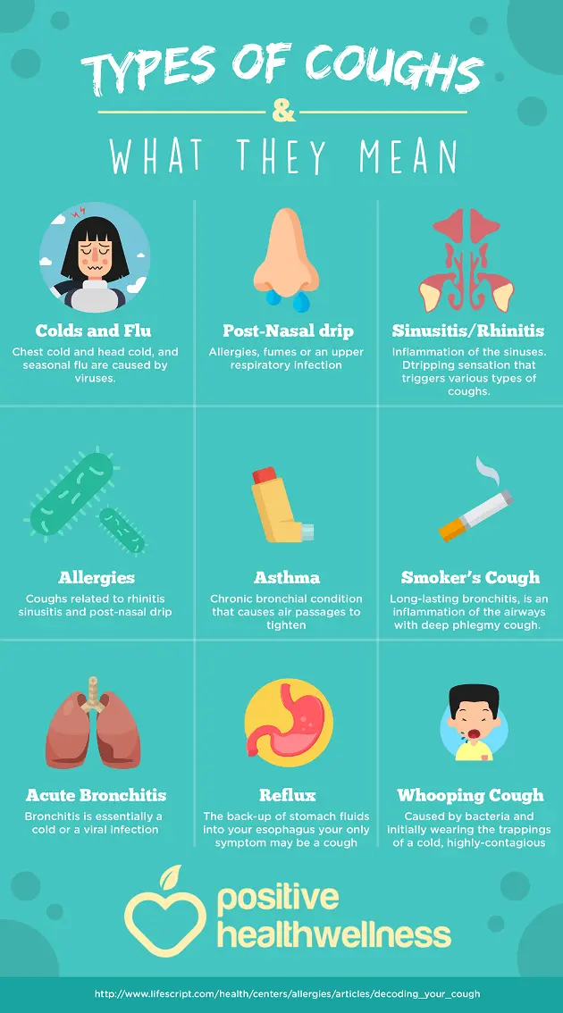 Cough: causes, types, treatment [INFOGRAPHICS]